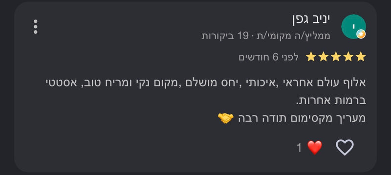 Google Review 9